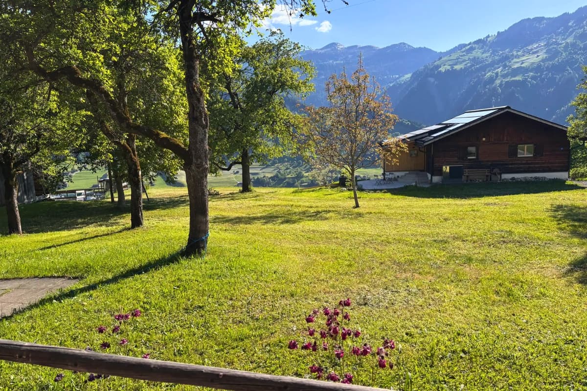 Garden and meadow view