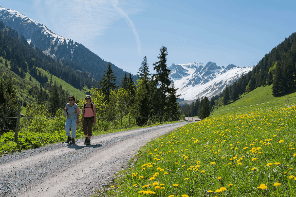 Alpine meadows