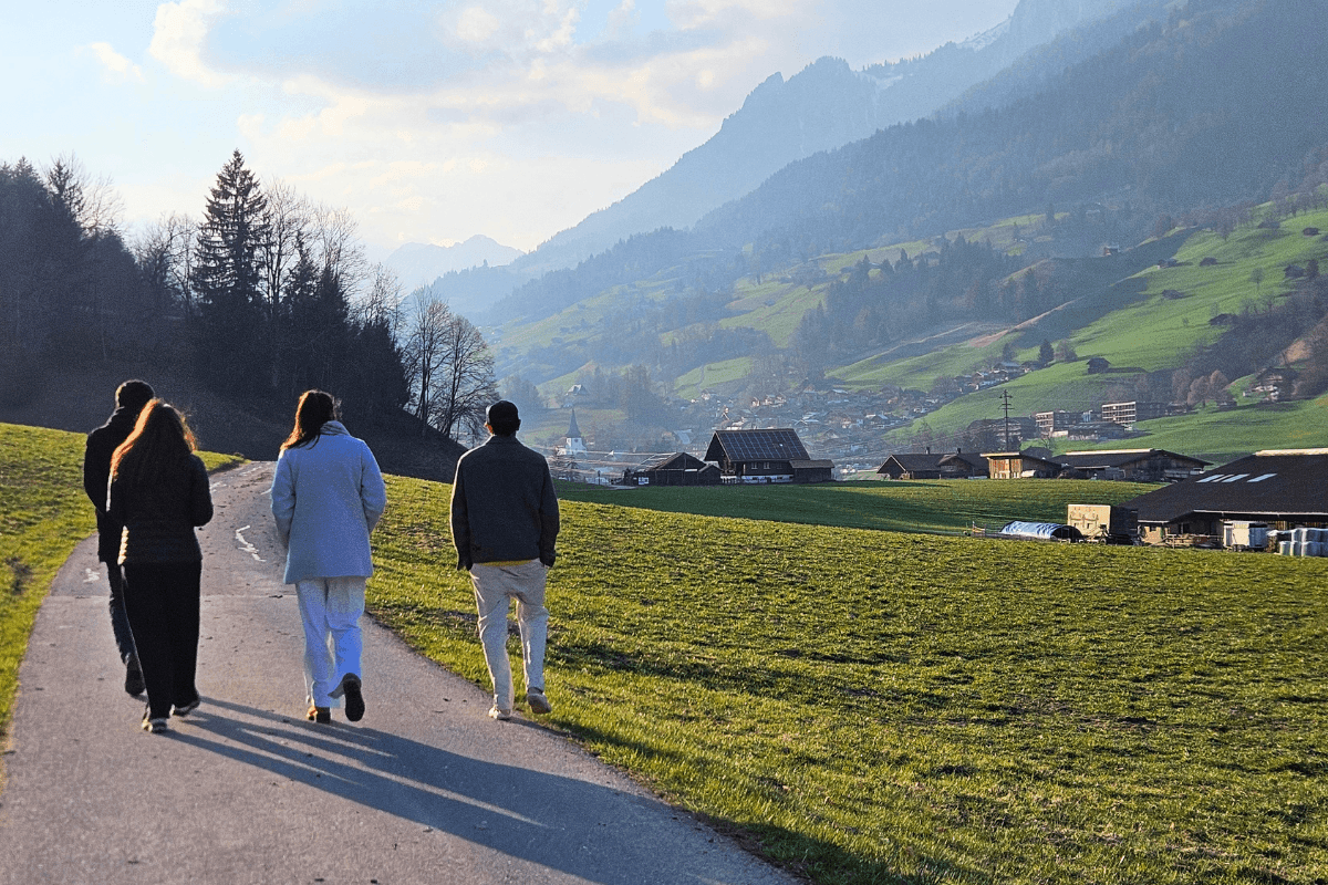 Evening walk